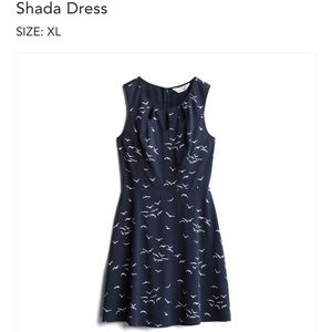Market & Spruce Shada navy dress with birds